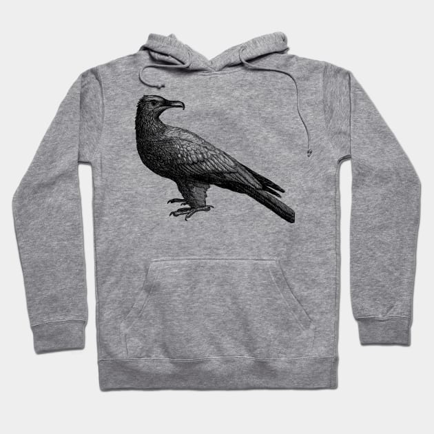 Vintage Bird Illustration Art Hoodie by AltrusianGrace